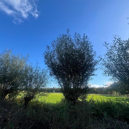 Aldoerrum Hoevelogementen Aarle-Rixtel Luaran gambar