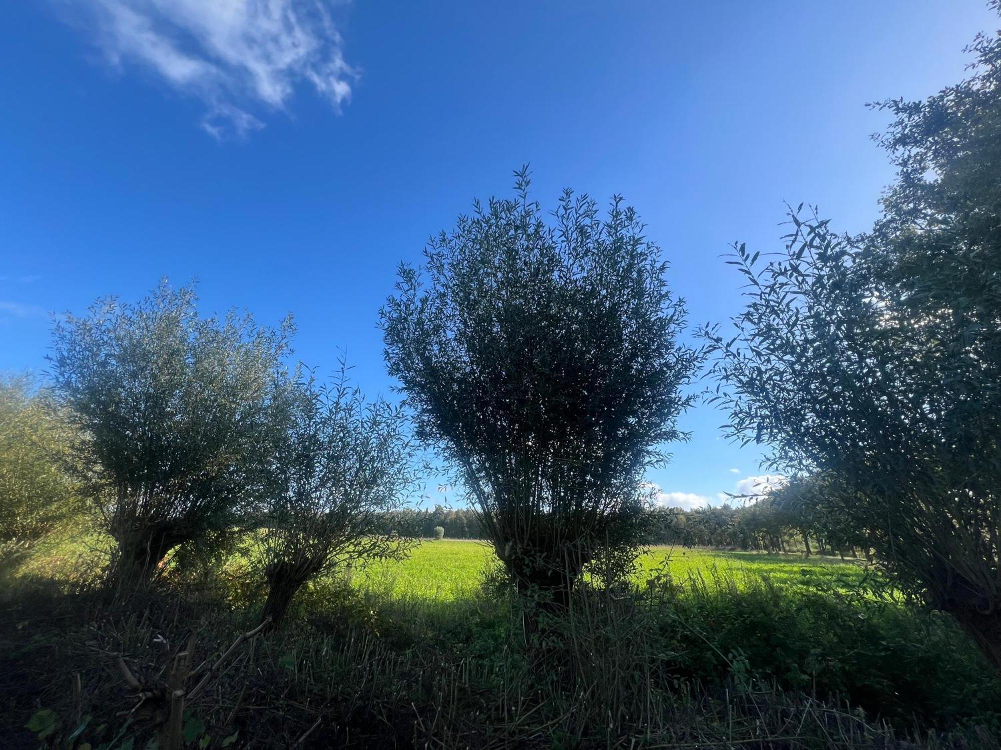 Aldoerrum Hoevelogementen Aarle-Rixtel Luaran gambar